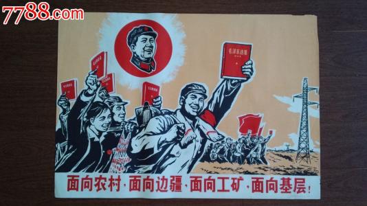 怎么购买澳大利亚驾照